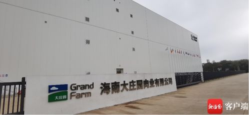 抓項目促投資 全球最大進口牛羊肉質蛋白精深加工基地投產 洋浦未來有望打造超500億國際食品加工產業集群