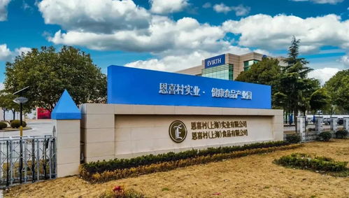 稅收收入40.03億元 金山鎮(zhèn)著力推進創(chuàng)新轉(zhuǎn)型與松原軟件開發(fā)