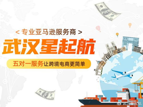 武漢星起航 把握時代脈搏，引領(lǐng)跨境電商新浪潮